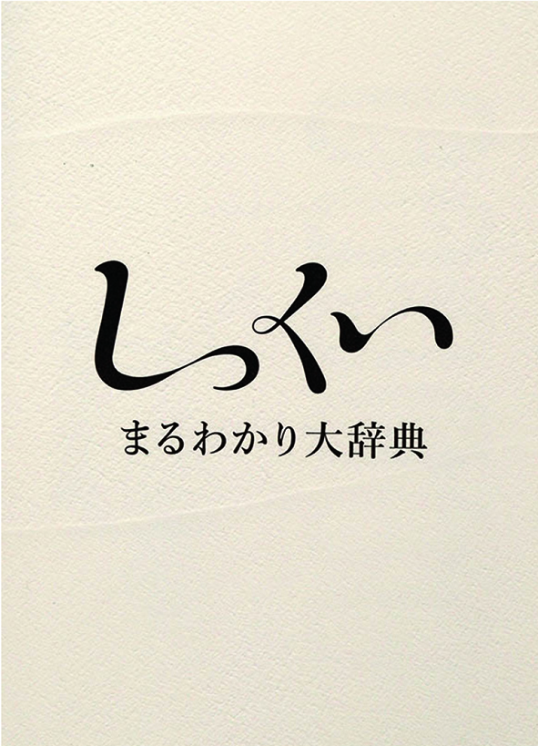 しっくいまるわかり大辞典の小冊子