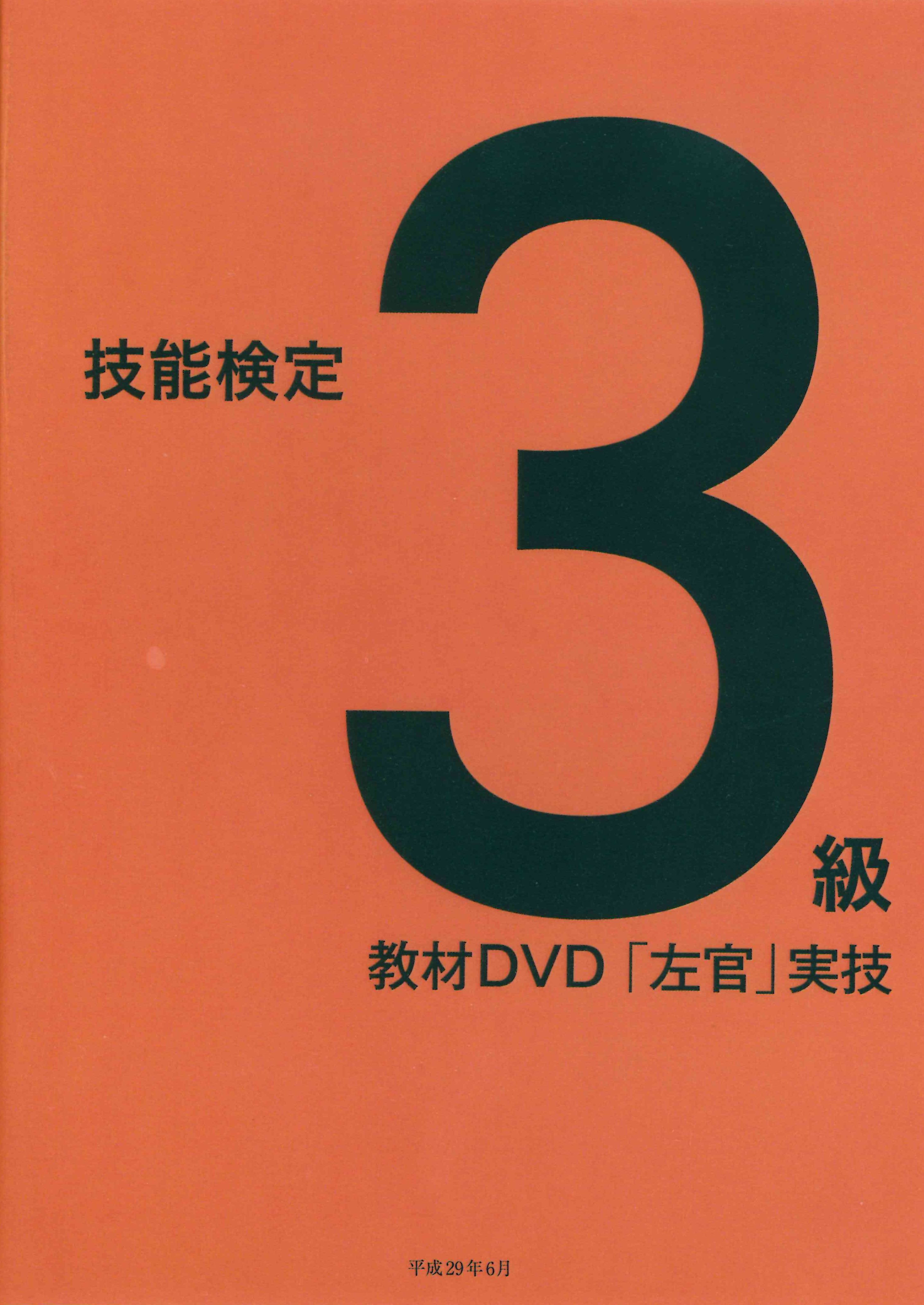 技能検定3級教材DVD「左官」実技